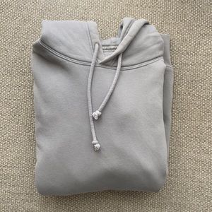 Aritzia TNA Oversized boyfriend Hoodie
